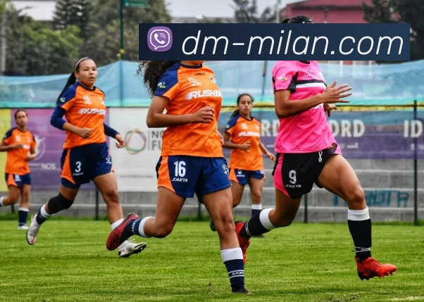 米兰官网APP 体育赛事宣传图